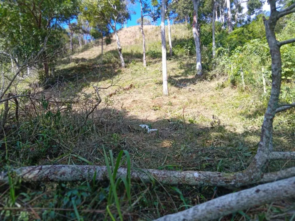 Terreno, 3035 m² - Foto 12