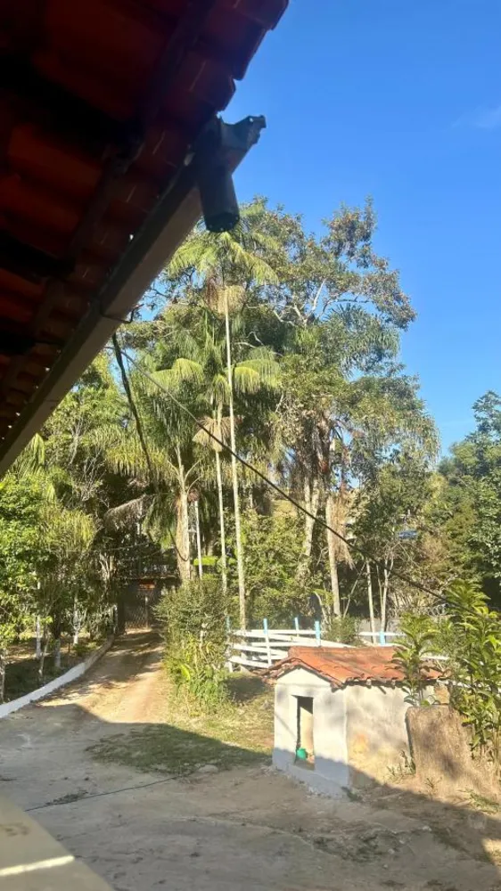 Chácara, 4 quartos, 3868 m² - Foto 14