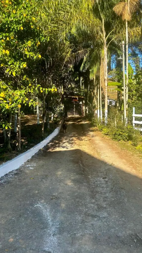 Chácara, 4 quartos, 3868 m² - Foto 11