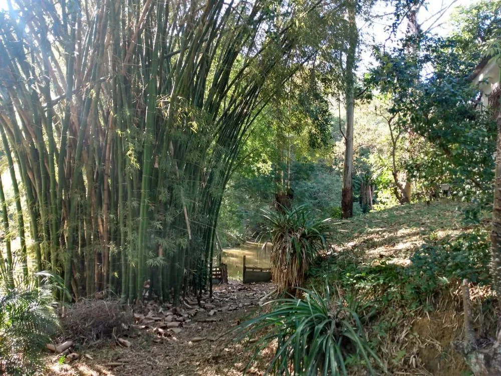 Chácara, 4 quartos, 3868 m² - Foto 1