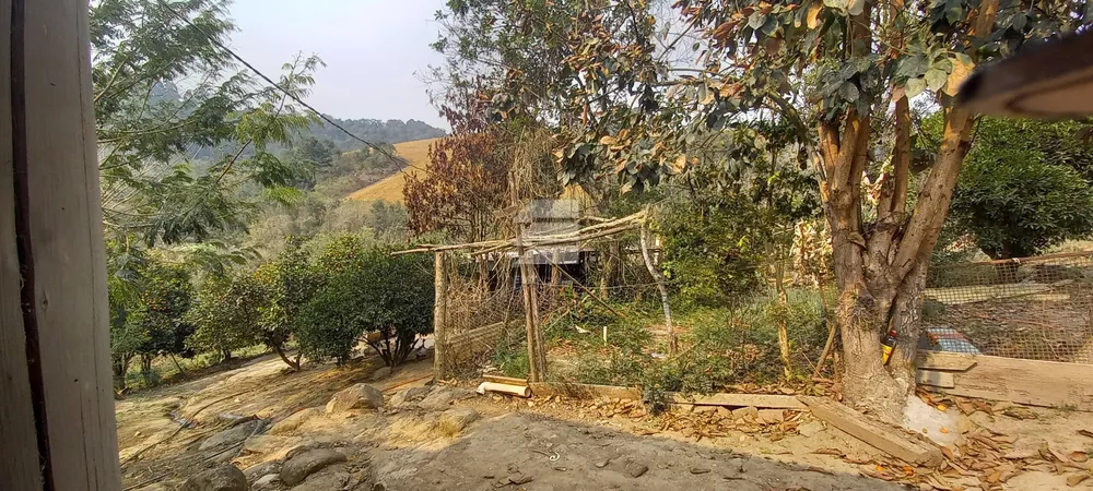 Chácara - Foto 4