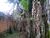 Terreno, 527 m² - Foto 3