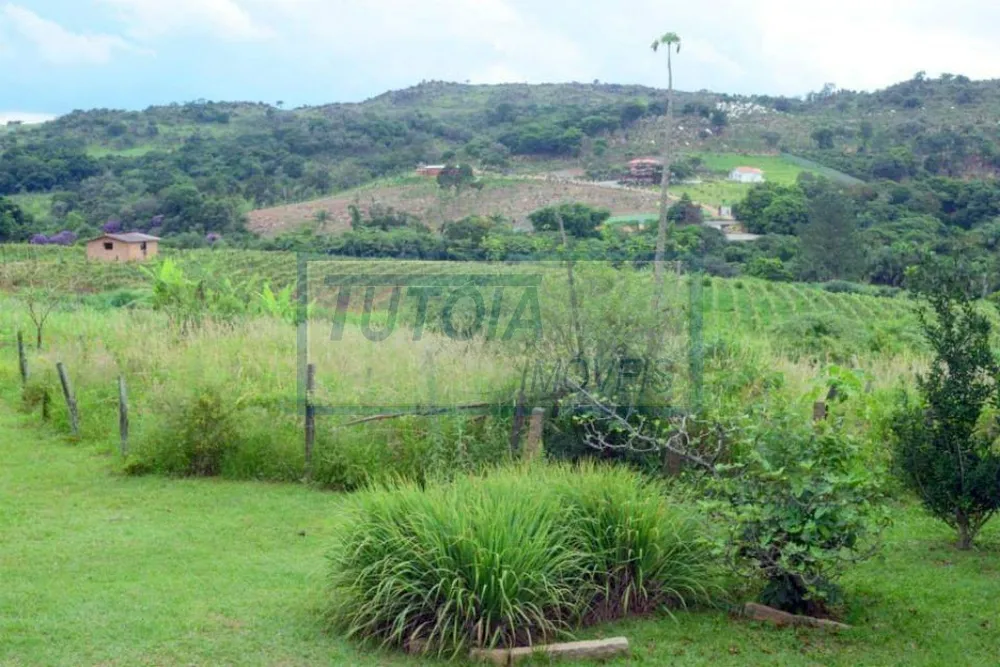 Sítio, 5 quartos, 6 hectares - Foto 15