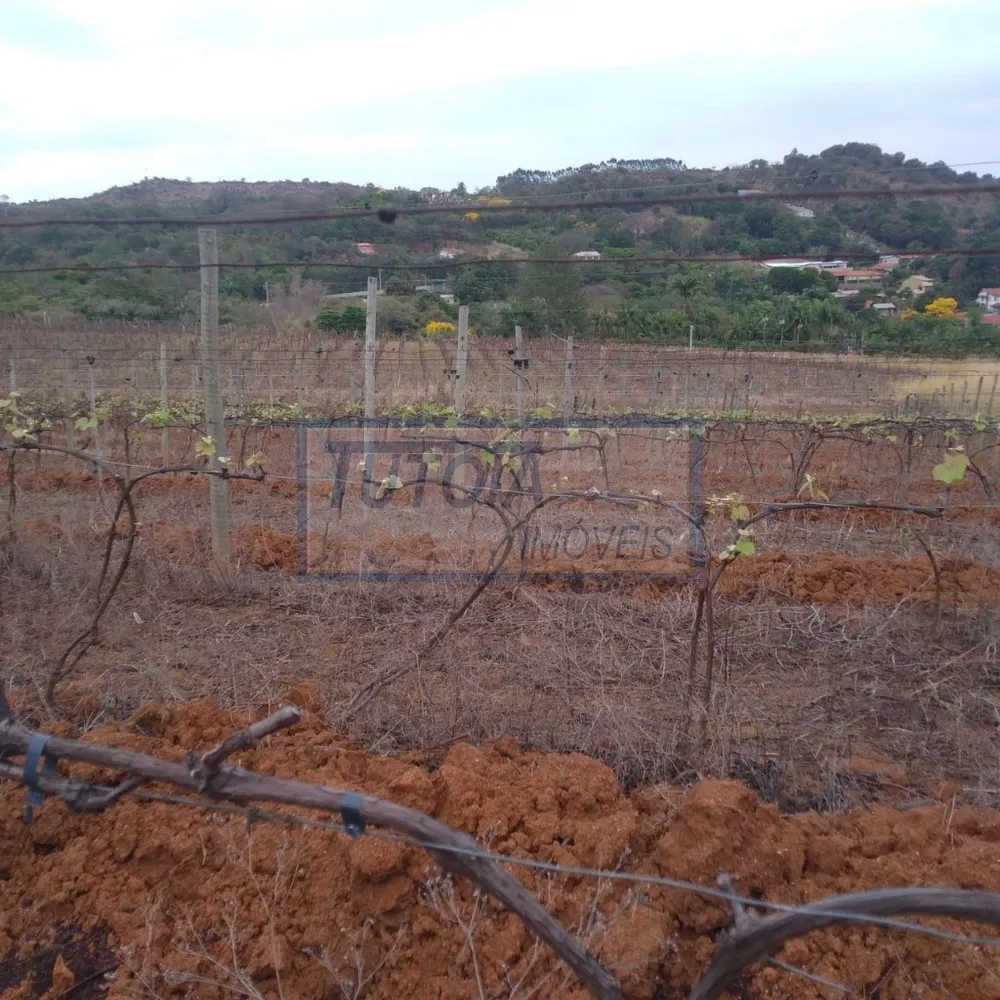 Sítio, 5 quartos, 6 hectares - Foto 24