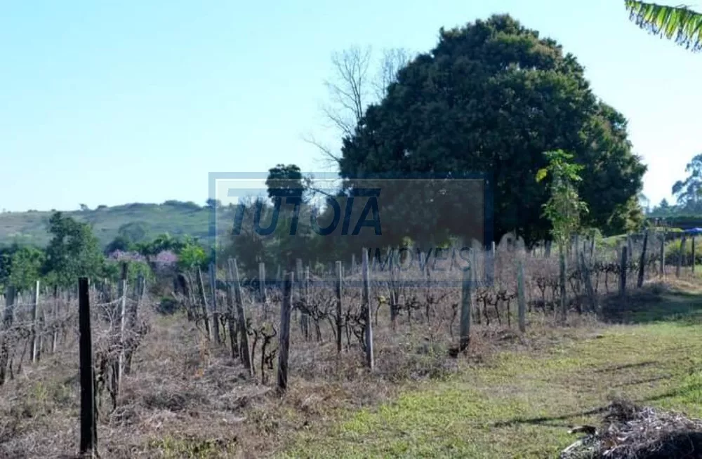 Sítio, 5 quartos, 6 hectares - Foto 6