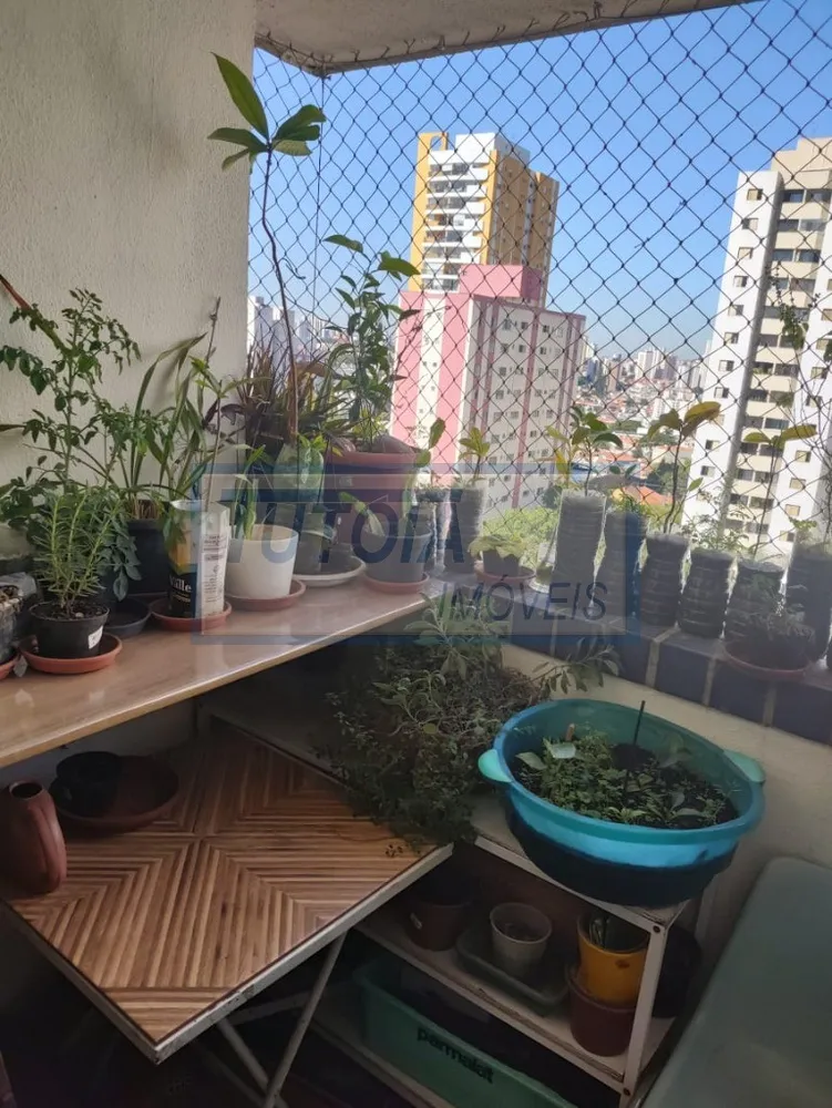Apartamento, 3 quartos, 79 m² - Foto 3