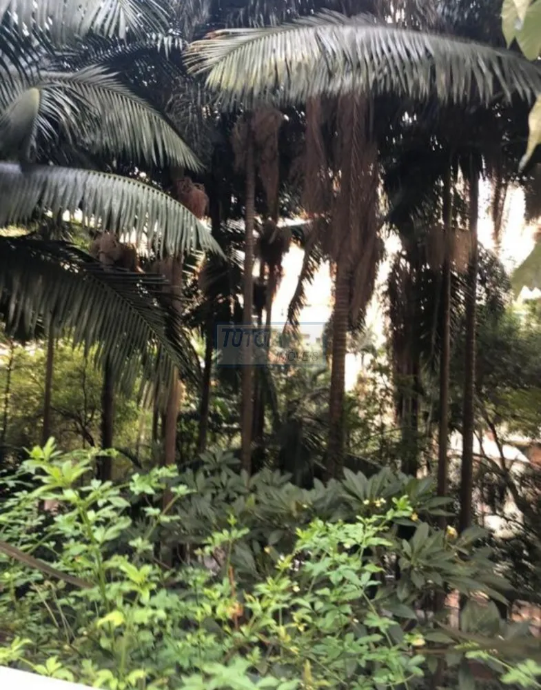 Apartamento, 4 quartos, 425 m² - Foto 16
