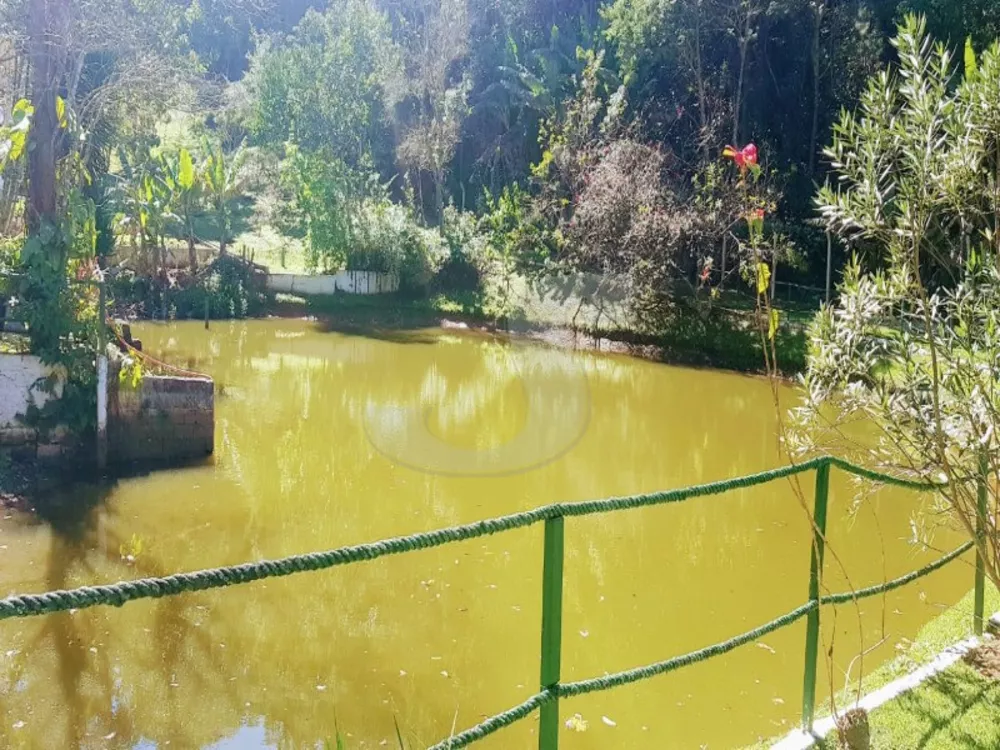 Chácara, 5 quartos - Foto 5