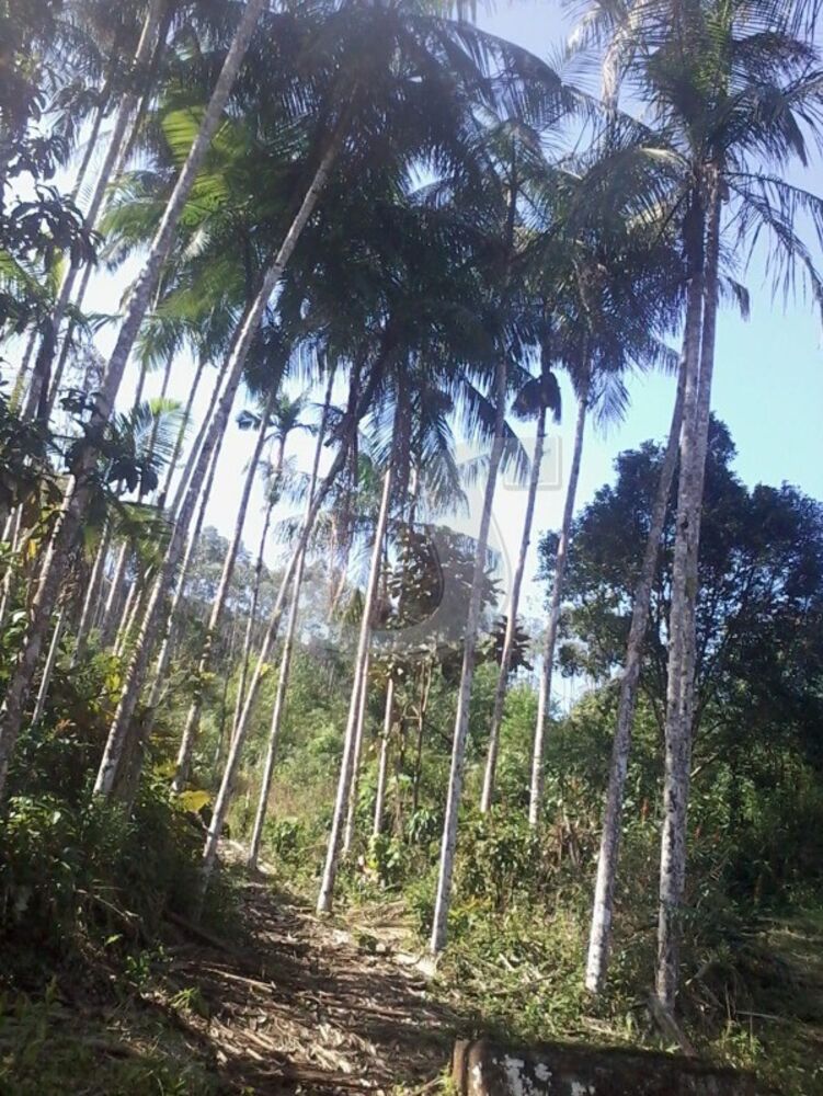 Sítio, 2 quartos, 6 hectares - Foto 7