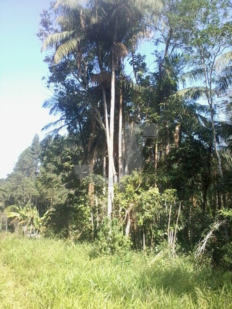 Sítio, 2 quartos, 6 hectares - Foto 8