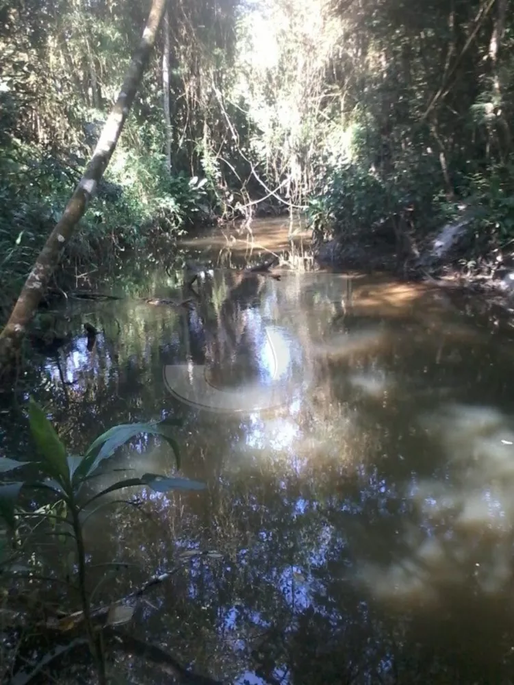 Sítio, 2 quartos, 6 hectares - Foto 5