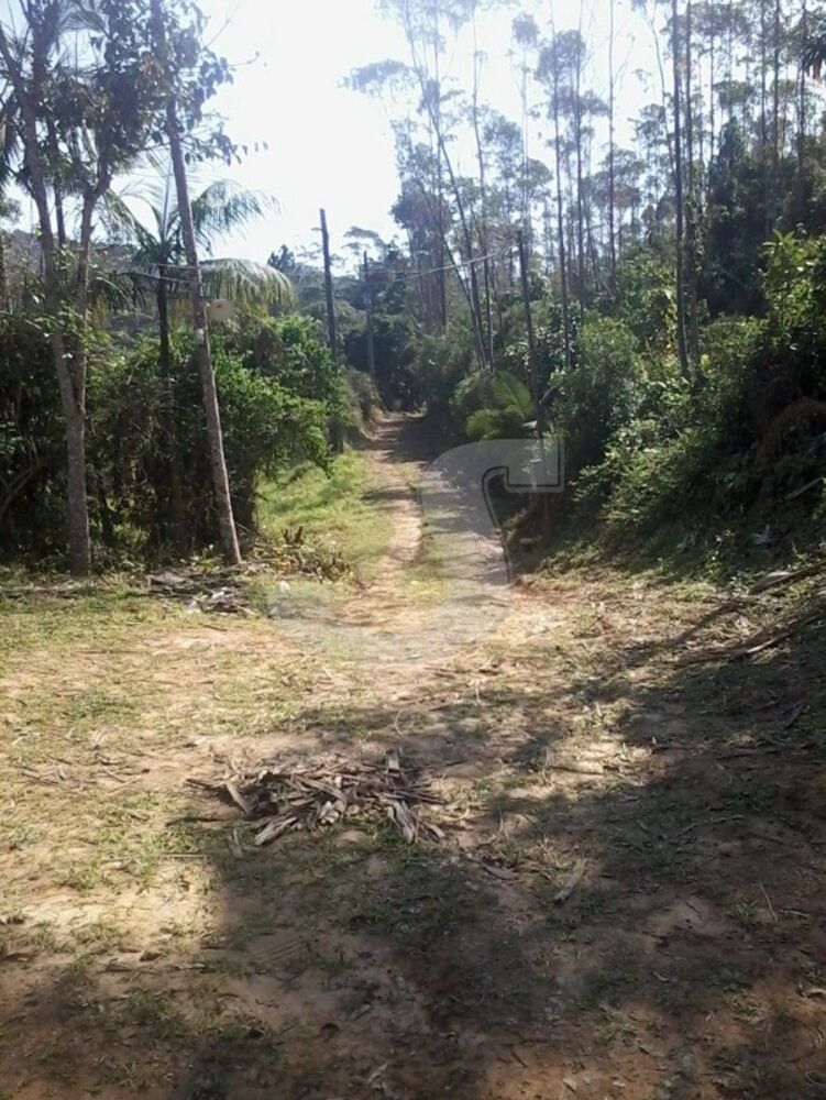 Sítio, 2 quartos, 6 hectares - Foto 3