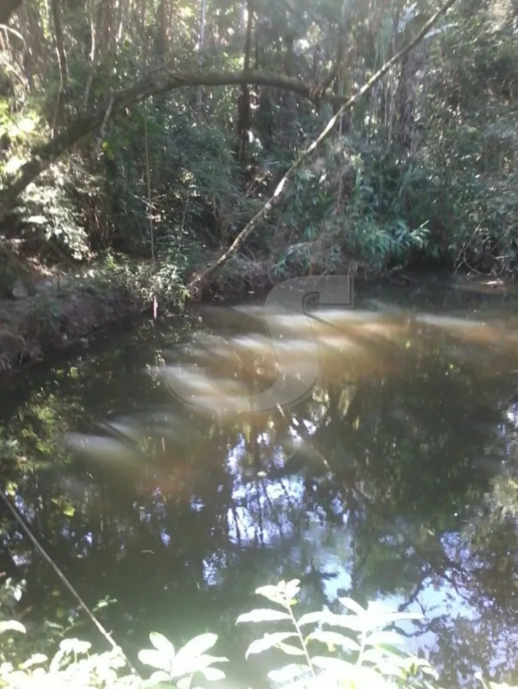 Sítio, 2 quartos, 6 hectares - Foto 2