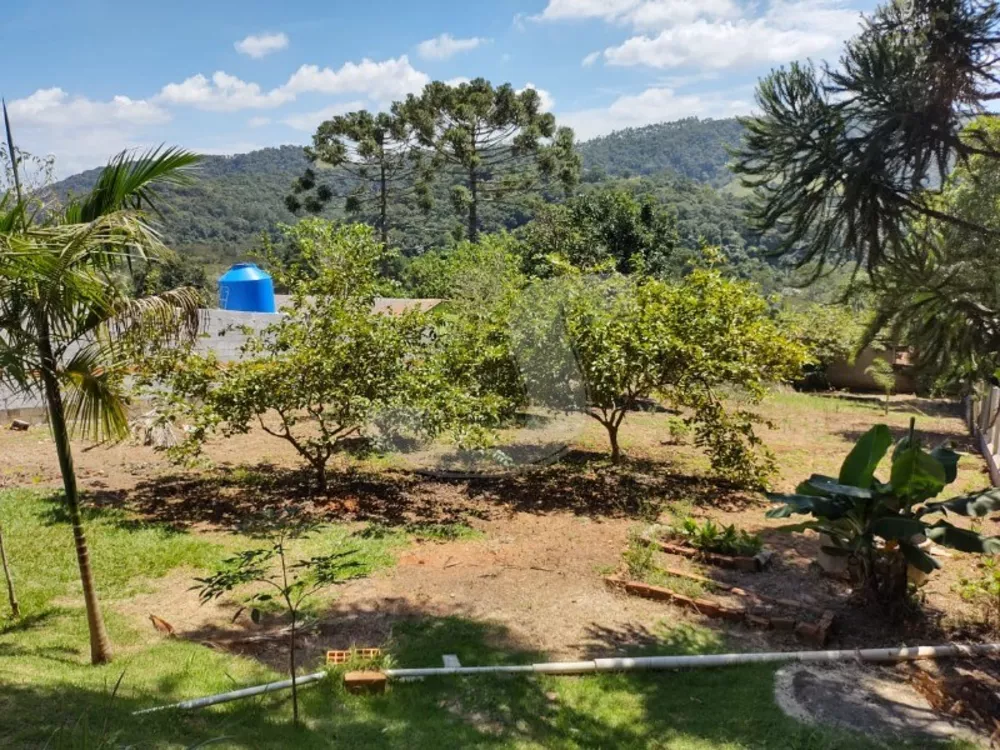 Chácara, 2 quartos, 120 m² - Foto 8