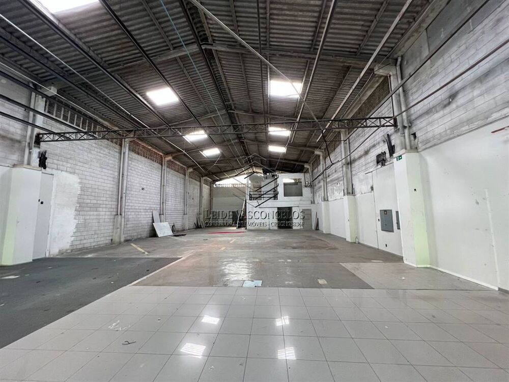 Sala-Conjunto, 800 m² - Foto 5