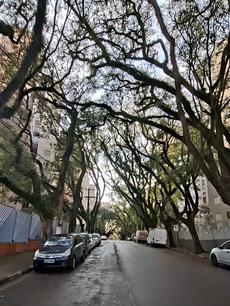 Apartamento, 3 quartos, 63 m² - Foto 8