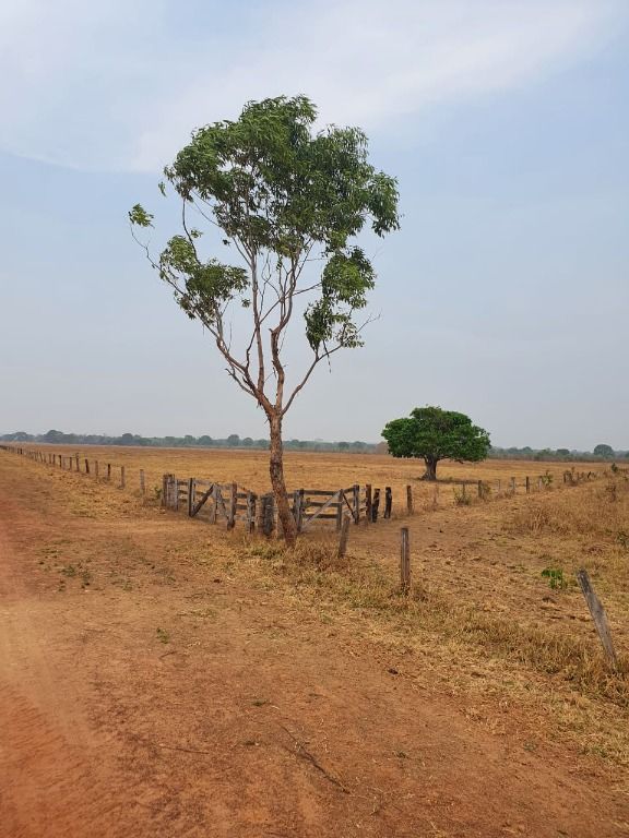 Fazenda à venda, 90527hectare - Foto 7