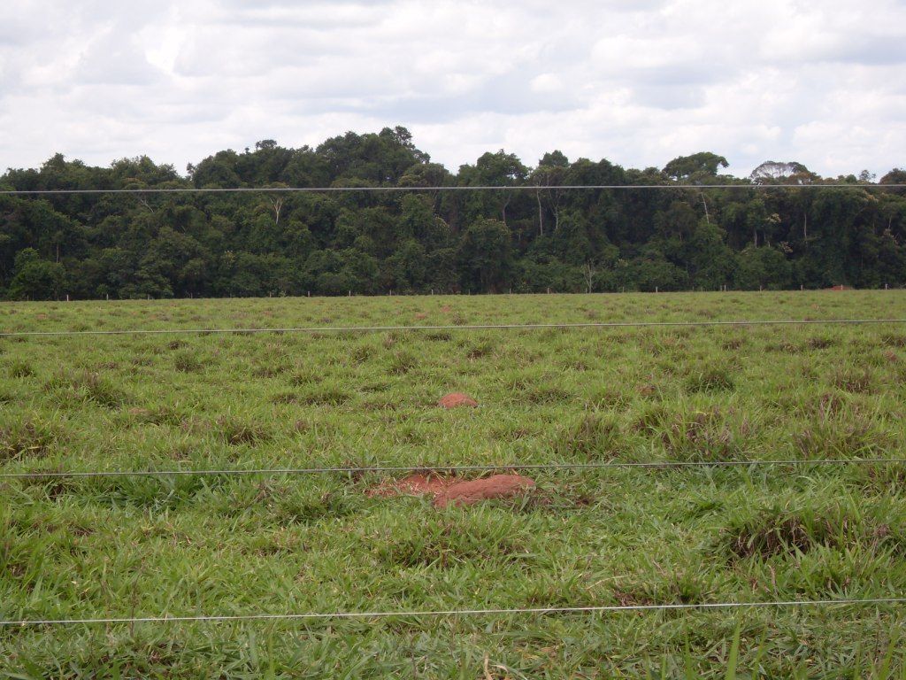 Fazenda à venda, 90527hectare - Foto 9