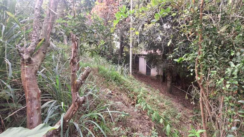 Casa, 3 quartos, 133 m² - Foto 29