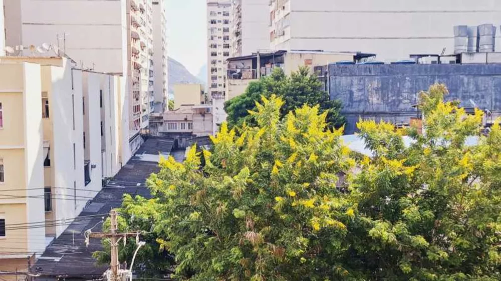 Apartamento, 3 quartos, 130 m² - Foto 9