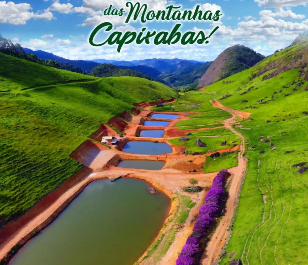 Terreno, 2 hectares - Foto 1