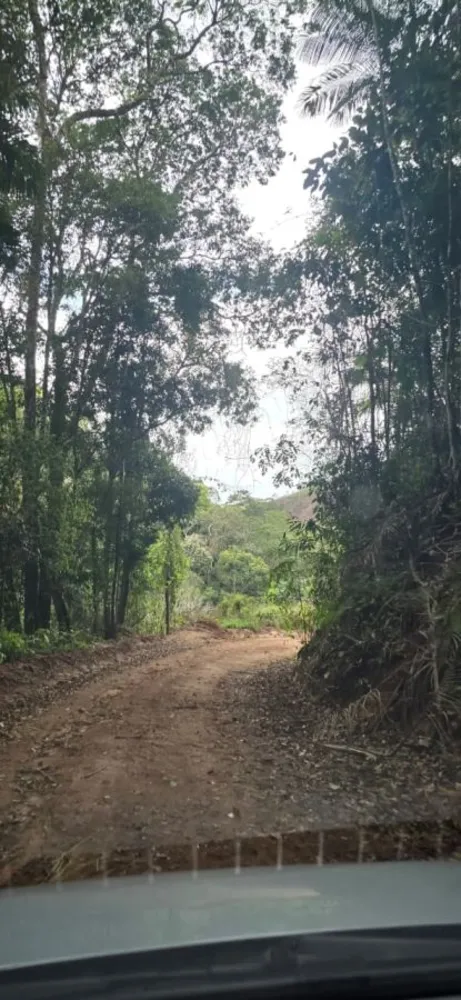 Terreno - Foto 10