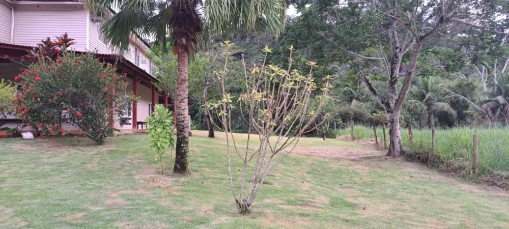 Sítio, 10 quartos, 6 hectares - Foto 4