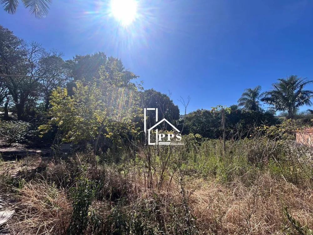 Chácara, 3 quartos, 5000 m² - Foto 4