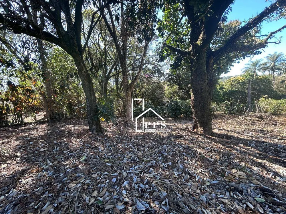 Chácara, 3 quartos, 5000 m² - Foto 6