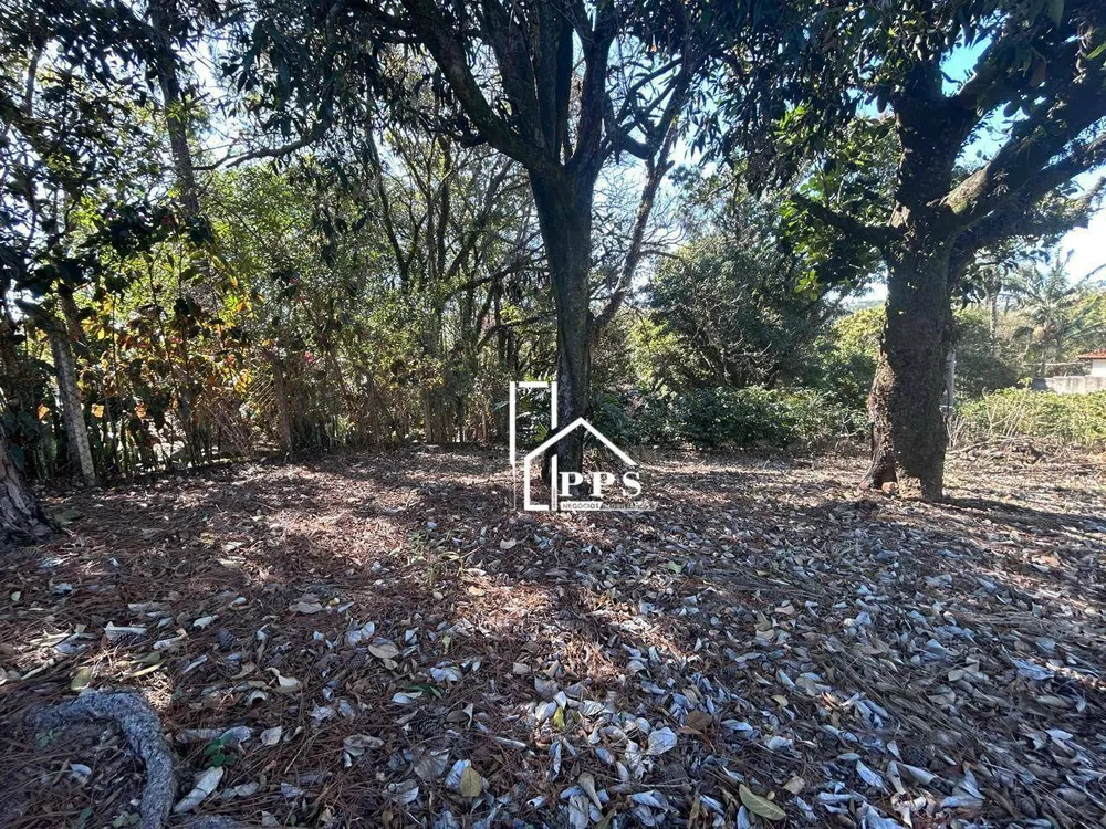 Chácara, 3 quartos, 5000 m² - Foto 2