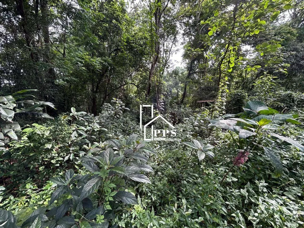 Terreno, 4000 m² - Foto 5