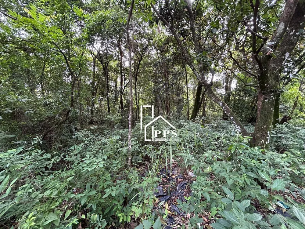 Terreno, 4000 m² - Foto 11