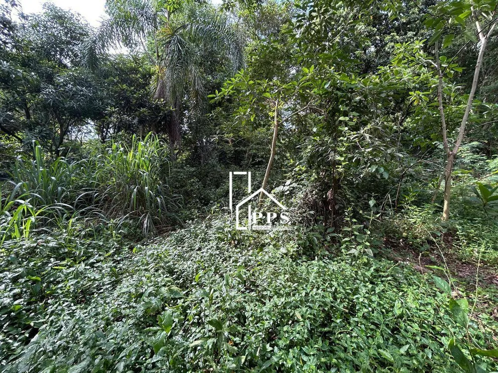 Terreno, 4000 m² - Foto 4