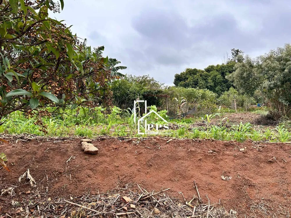 Terreno, 250 m² - Foto 5