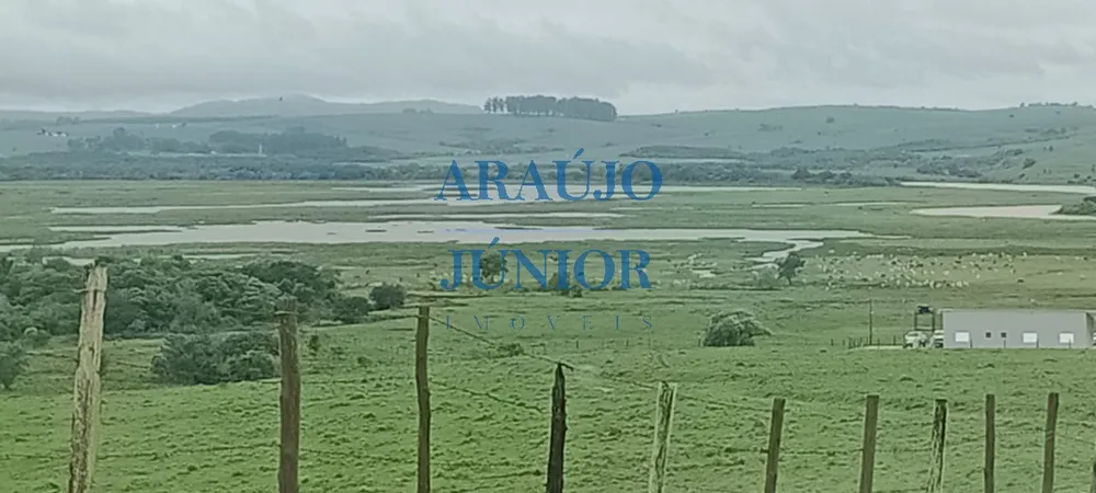 Sítio, 1 quarto, 500 m² - Foto 5