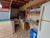 Casa, 3 quartos, 330 m² - Foto 3