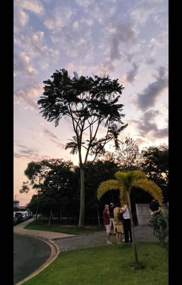 Terreno, 302 m² - Foto 4