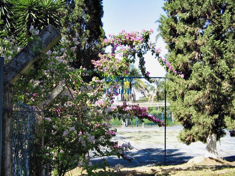 Chácara, 8 quartos - Foto 17