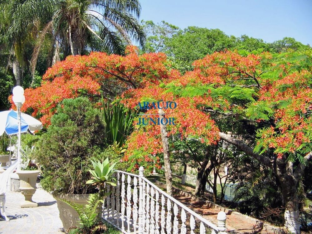 Chácara, 8 quartos - Foto 11