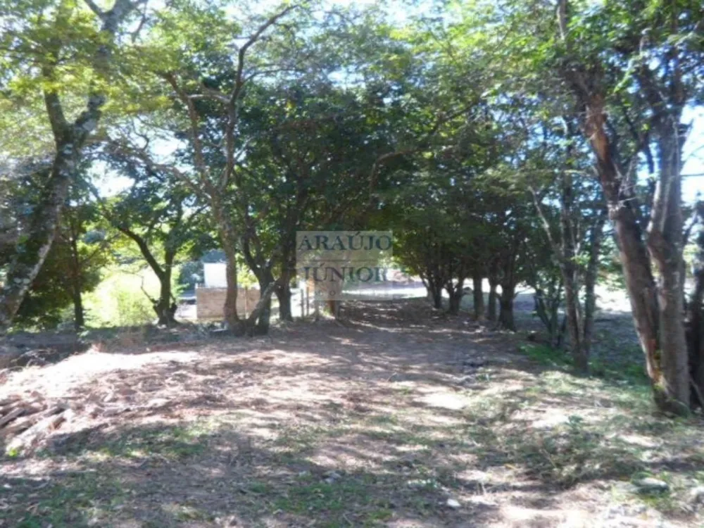 Terreno, 15040 m² - Foto 13