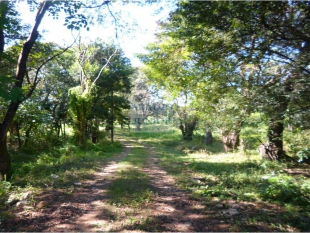 Terreno, 15040 m² - Foto 2