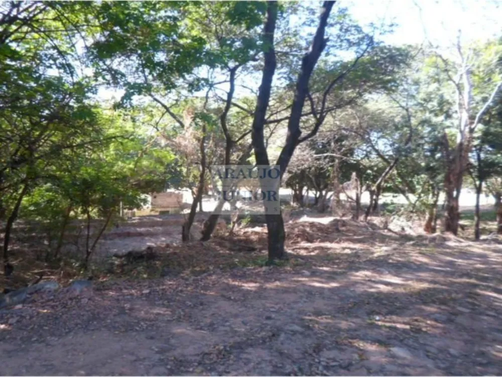 Terreno, 15040 m² - Foto 4