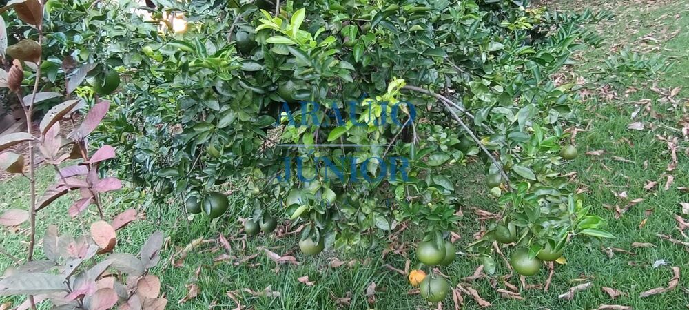 Chácara, 2 quartos - Foto 14