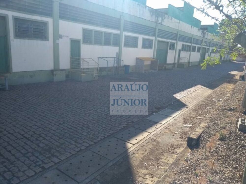Indústria, 1000 m² - Foto 6