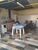 Casa, 4 quartos, 341 m² - Foto 13