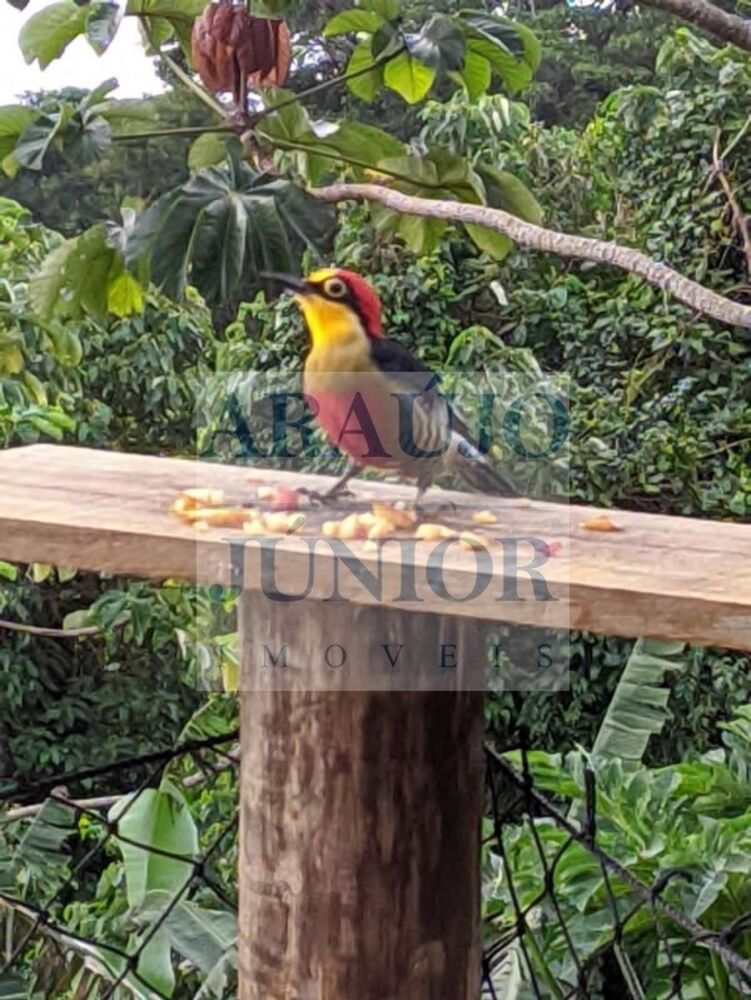 Sobrado, 7 quartos, 180 m² - Foto 13