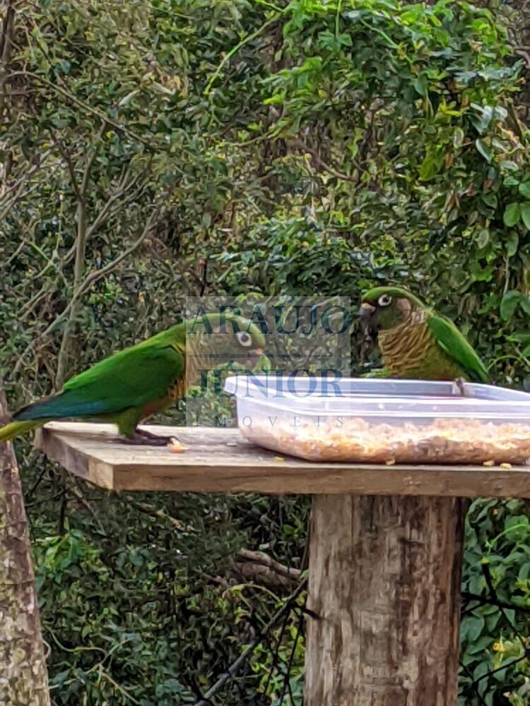 Sobrado, 7 quartos, 180 m² - Foto 12