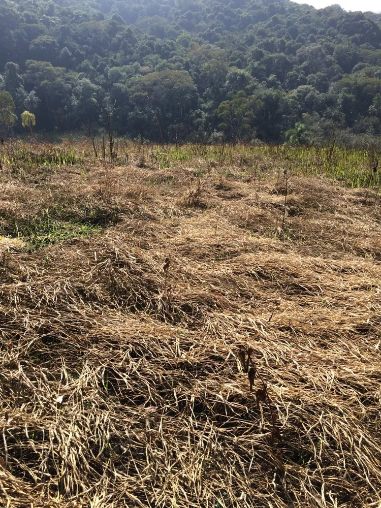 Loteamento e Condomínio, 2 hectares - Foto 6