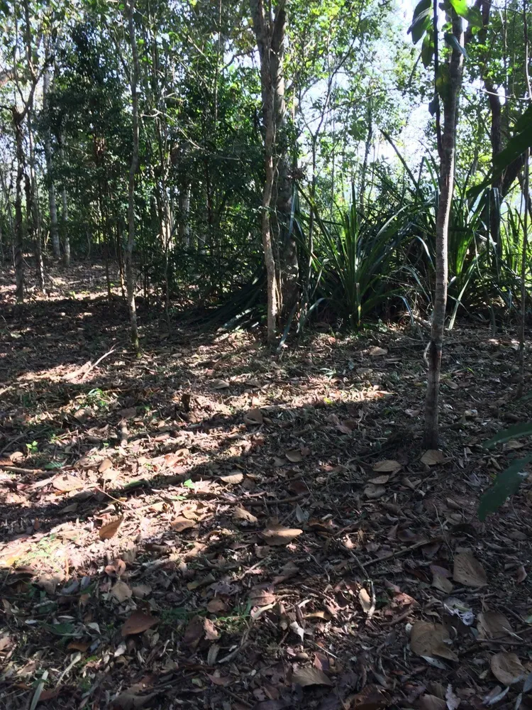 Loteamento e Condomínio, 2 hectares - Foto 7
