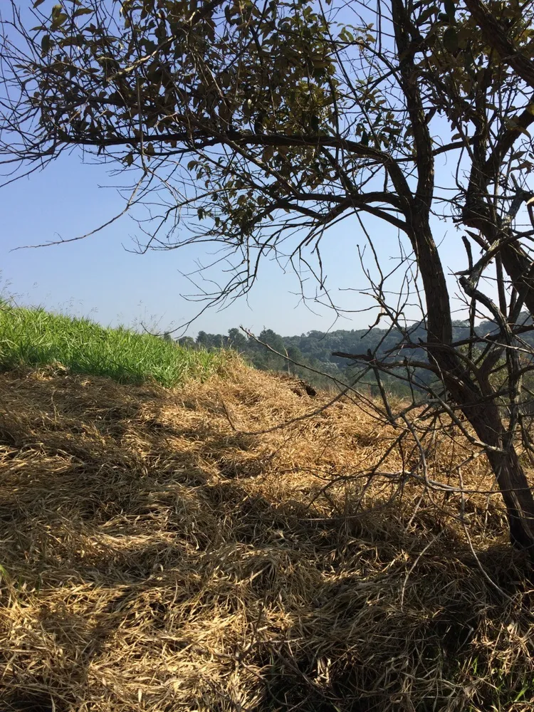 Loteamento e Condomínio, 2 hectares - Foto 2